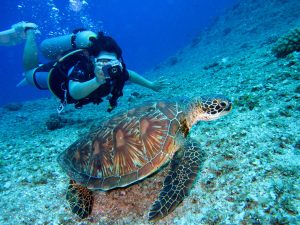 buceo
