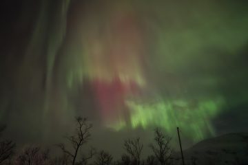 Aurora Boreal